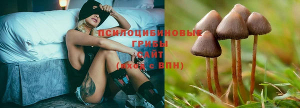 мескалин Баксан
