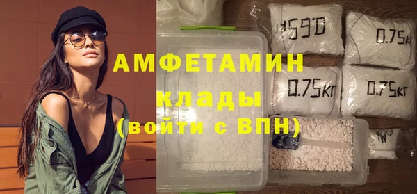 твердый Аркадак