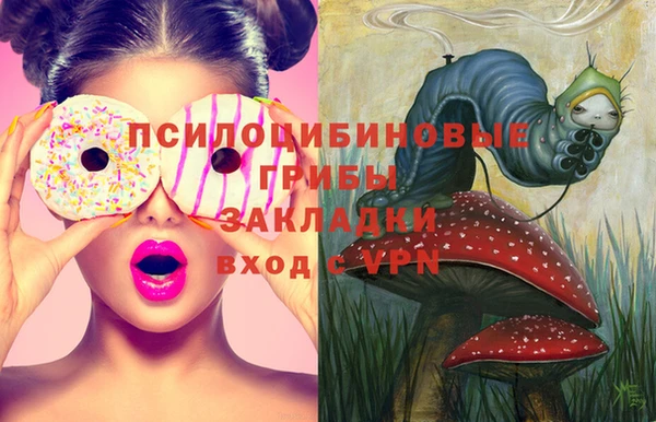 твердый Аркадак